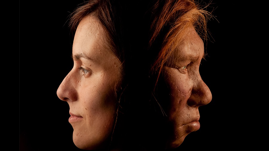 Nose shape gene inherited from Neanderthals, New study