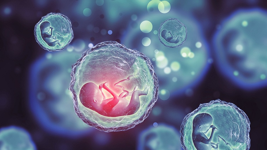 Scientists Develop First Synthetic Human Embryos without Eggs or Sperm
