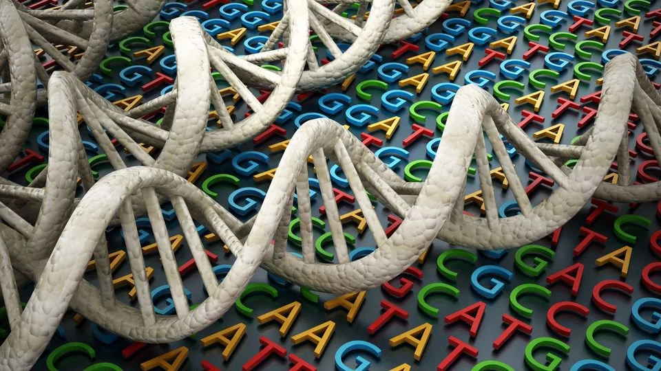 New Study Reveals Redundancy in the Genetic Code