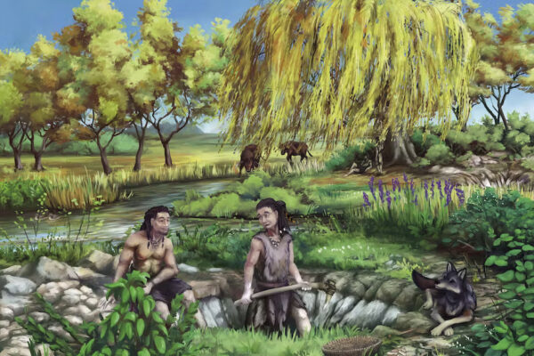 9,700-Year-Old Gum Reveals Mesolithic Lives, New Study